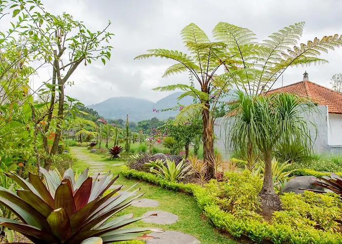 Dedanau Hotel 3*