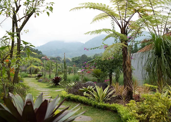 Hotel Dedanau Bedugul (Bali)